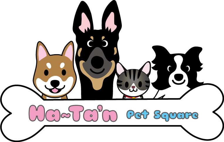 Pet Square Ha-Tan